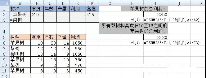 DSUM函數(shù)利潤用法